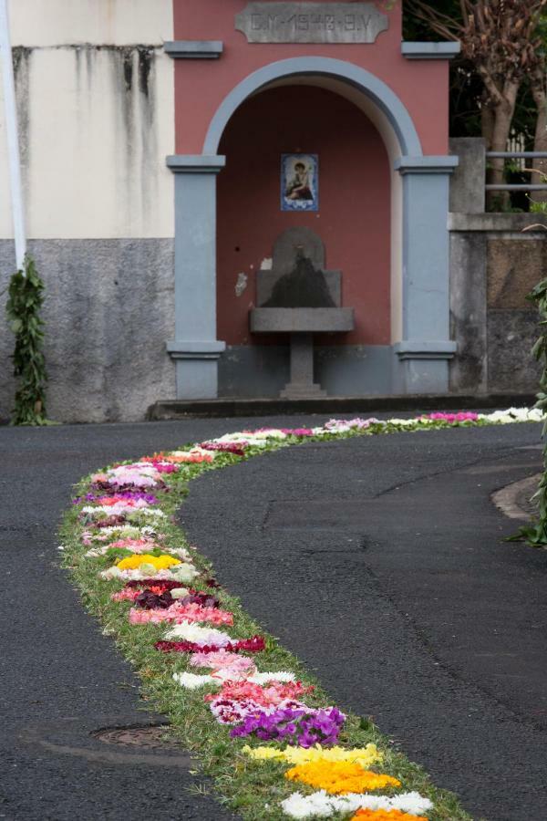 Antonella Home Funchal Экстерьер фото